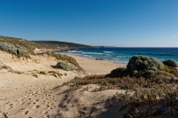AUS - Cape Naturaliste o2862